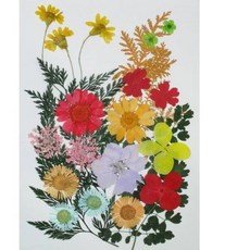 藝采手作 押花花材綜合包 混合色 適用於壓花浮游花香氛蠟磚美甲乾燥花材 (每包約25片)