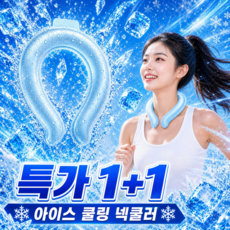 잔여수량 원가정리 핵폭신 넥쿨러 아이스 넥밴드, 2개, 아이스블루