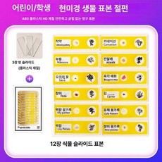 프레파라트 48종 표본 실험도구 식물 현미경 체험, 12장 표본 옐로우, 기본 색상