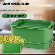 가정용 콩나물 발아기 황두·녹두 발아 용기, 1개, 청초 그린 화분 세트