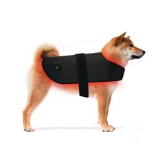 고양이와 개의 허리와 복부 부상 골절 치유 휴대용 타이밍을 위한 애완동물 적색광 적외선 치료