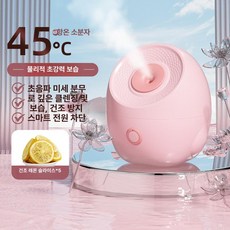 픽온 페이셜스티머 페이스스티머 마사지샵 얼굴스팀기 수분, 과일 채소 L급 180ml 물탱크 온도조절 A, 기본 모델명/품번