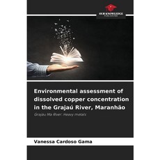 (영문도서)Environmental assessment of dissolved copper concentration in the Grajaú River ... Paperback, Our Knowledge Publishing, English, 9786209465116