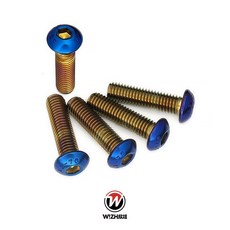 【THE】鈦螺絲 PVD 白鐵鍍鈦螺絲 M6 M8 半圓頭 圓頭 皿頭 W!ZH 欣炫, 1個, 半圓頭-M6,65MM