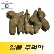 국산 주먹마 파지마 2kg 생마 알뜰마 마쥬스 마전 마요구르트 마우유, 1개