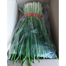 [재구매율 98%] 국산 당일손질 쪽파 깐 쪽파, 깐쪽파 (1단), 1개, 900g