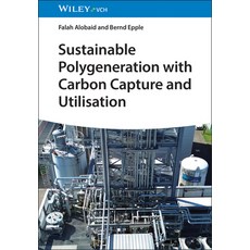 (영문도서)Sustainable Polygeneration with Carbon Capture and Utilisation Hardcover, Wiley-Vch, English, 9783527354818 Wiley-Vch, English, 9783527354818