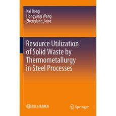 (영문도서) Resource Utilization of Solid Waste by Thermometallurgy in Steel Processes Paperback, Springer, English, 9789819956579