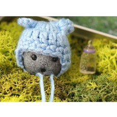 반려돌맹이 애완돌 키우기 반려돌 꾸미기 인테리어 펫스톤, 1개, wa 2.대리반려돌만