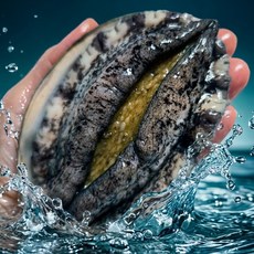 완도전복 왕특대 완도 활 전복 직거래, 1개, 21번 (중) 8-11마리 500g