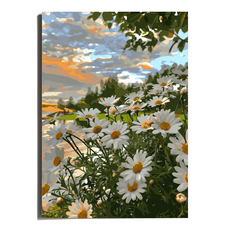 원그리드 DIY 명화그리기 세트 캔버스 유화그리기, 데이지 선셋, 1개