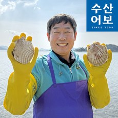 자연산 제철 대왕 참가리비 왕가리비, 1개, 1kg