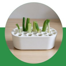 떡상이네 파 재배기 대파재배, 옐로우