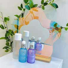 인테리어오브제 오로라 아크릴거울 물결 홀로그램 벽걸이 탁상용, 플라워