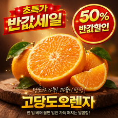 퓨어스펙 프리미엄 블랙라벨 오렌지 옵션선택, M 사이즈 중과 20과, 1개