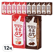 맛있는우유GT 190ml 2종 (초코6+딸기6)