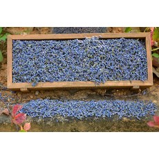 라반데 쉬르 테르 1 파운드 프랑스산 건조 라벤더 봉오리 - 라반데 쉬르 테르 1 파운드 프랑스산 건조 라벤더 봉오리 - 라반둘라 덴타타 16 온스 대용량 팩 - 요리 DIY, 1개