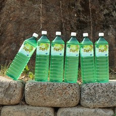 지리산 고로쇠 수액물, 6개, 1.5L