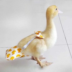 닭기저귀 거위 오리 실내 똥주머니 애완 조류 옷 기저귀 배변 주머니, 1개, 10. 레몬 M(1.5-3.5kg)