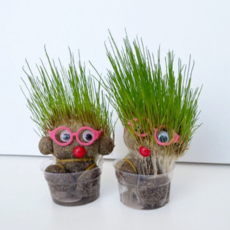 토피어리 DIY 키트 잔디인형 꾸미기 세트 식물키우기, 1개