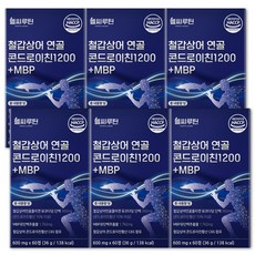 철갑상어 콘드로이친 1200 6형 식약청 인증 HACCP c6s 연골 뮤코다당 단백 엠비피 배합 헬씨루틴, 6박스, 60정