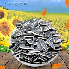 OKYAIOS 중국 생해바라기씨, 2kg, 1개