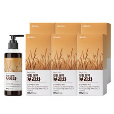 솔리치 진한 원액 보리차 HACCP 해썹 식약청 인증, 6개, 300g