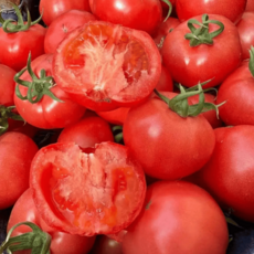 [지금찬스가격]최고선택 빨간속살 재구매폭주 못난이 완숙토마토, 1박스, 5kg