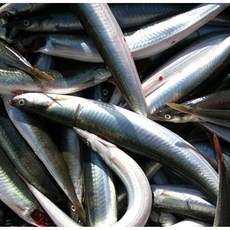 [프리미엄] 국내산 살 꽉찬 반건조 양미리 1팩(20마리), 1박스, 20마리