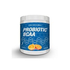 쉬누사 프로바이오틱 BCAA 오렌지 150g, 1개
