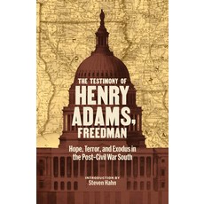 (영문도서)The Testimony of Henry Adams Freedman: Hope Terror and Exodus in the Post-Civ... Hardcover, Library of America, English, 9781598538366