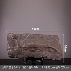 공룡 화석 모형 장난감 뼈 티라노사우루스 장식 공룡화석 화석모형 소품, J. 스캐폴드