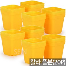 세인화분 칼라 미니사각 포트 화분 20P, 03_옐로우 사각포트(20P)