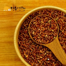 홍미 800g 국산 2025년, 1개