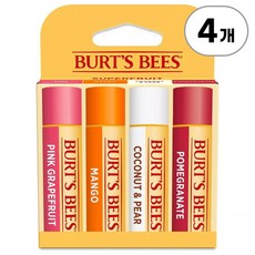 버츠비 내추럴 오리진 모이스처라이징 립밤 슈퍼프루트 Burt's Bees Natural Origin Moisturizing Lip Balm Superfruit, 4개, 17g