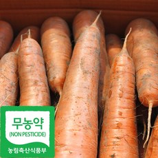 국내산 무농약 햇 흙 당근, 1박스, 3kg(특)