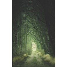 (英文圖書)Utopia: Rayanna's Story: Part One 平裝版, Independently Published, 英文