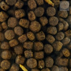 조은하나 고슴도치사료