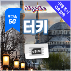 링심 터키이심 5G 튀르키예 이스탄불 esim 데이터무제한 유심, 1개, 5G 매일2GB 후 저속 무제한, 10일