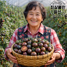 산지직송 대저 흑대추 방울토마토, 1개, 500g