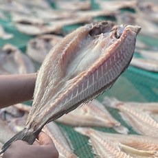 민어청년 임자도 자연산 반건조민어1미(40cm내외), 1개