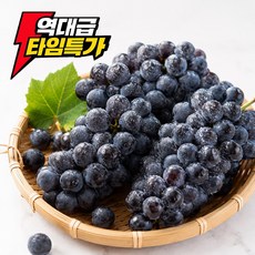 [당도대장] 캠벨포도 프리미엄 새콤달콤 고당도 포도, 1박스, 달콤상콤_1kg