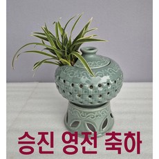 그린난농원 (대전 금산 옥천 배송) 대국 천금 항아리청자분 승진 영전 취임 난배달 당일배송, 1개