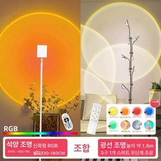 오로라 조명 무드등 크리스마스 우주비행사 우주인 물멍, 텔레스코픽선셋라이트+라이트무단계리모컨