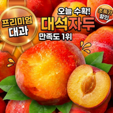 [백화점납품]프리미엄대과 최대16brix초고당도 제철 국내산 자두, 1박스, 1kg 로얄대과 (20-30과)