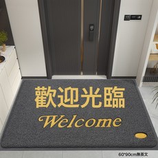 DIU 入戶門墊進門地墊大門口絲圈蹭腳墊出入平安歡迎光臨除塵墊子地毯, 1個, 歡迎光臨-灰色