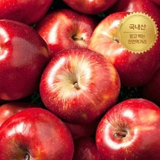 블루밍그린 [산지직송] 가정용 홍로 부사 빨간사과 5kg 대과(12-16과), 산지직송 가정용 홍로 부사 빨간사과 5kg 대과(12-
