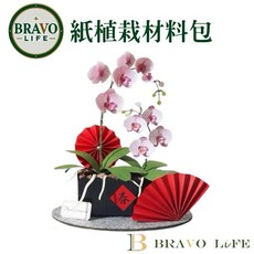 BRAVO-LIFE 紙植栽材料包，新年裝飾 DIY 紙模型, 1個