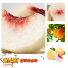 [굿피플] 고당도 설리 설도 설아복숭아 설도복숭아, 1개, 가정용 설아복숭아 900g (3-4구)