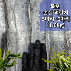 [먹갈치] 가정용먹갈치 목포직송 생물 5~6마리 머리꼬리 손질후 1.4키로, 1개, 먹갈치 6~8미(손질 후 1.8.kg)